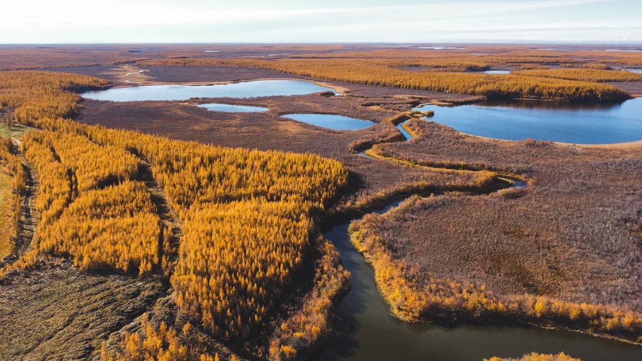 Фото: Николай Чечулин