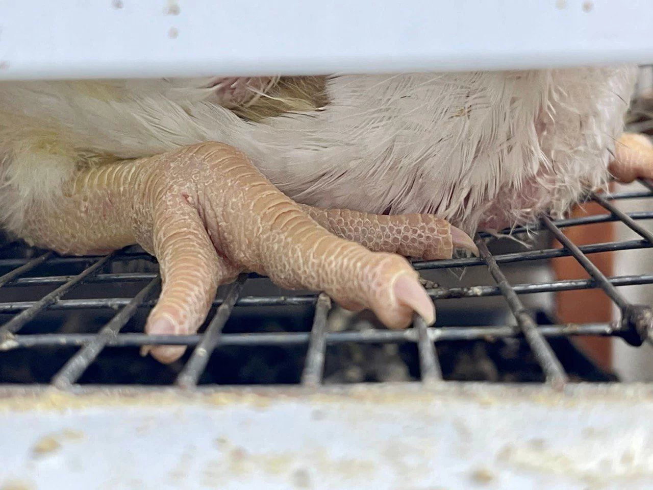 РБК Приморье