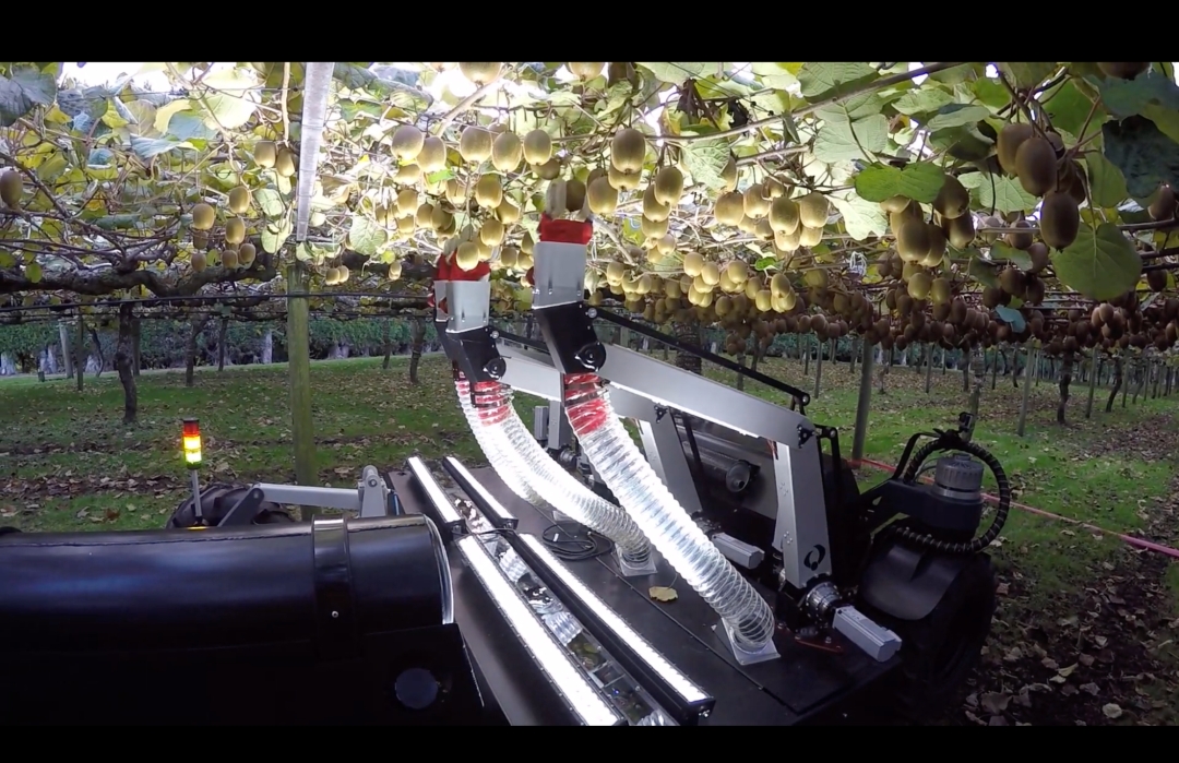 Робот для сбора киви