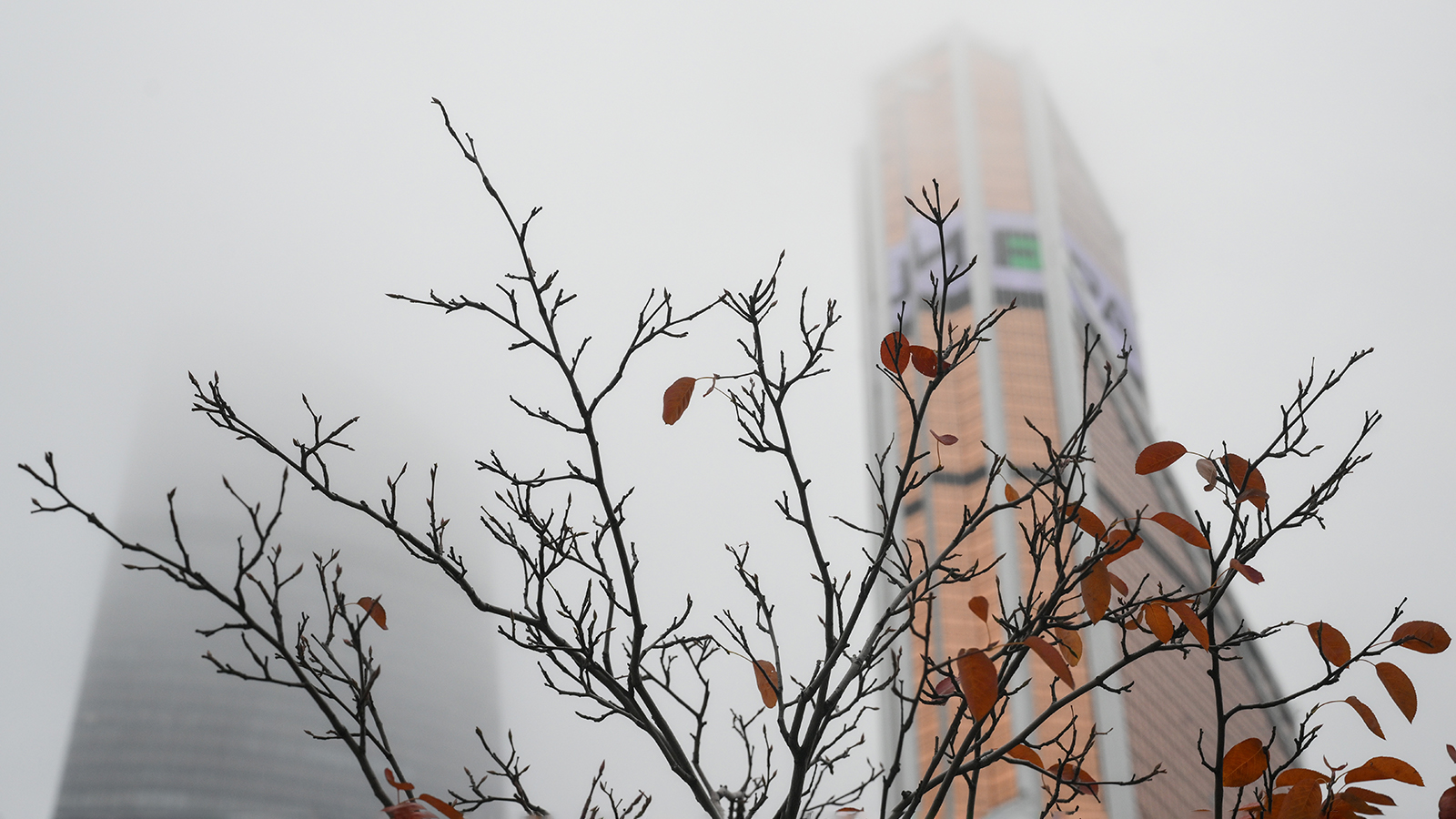 В ночь на 5 ноября Москву накрыл густой туман. Впечатляющие кадры