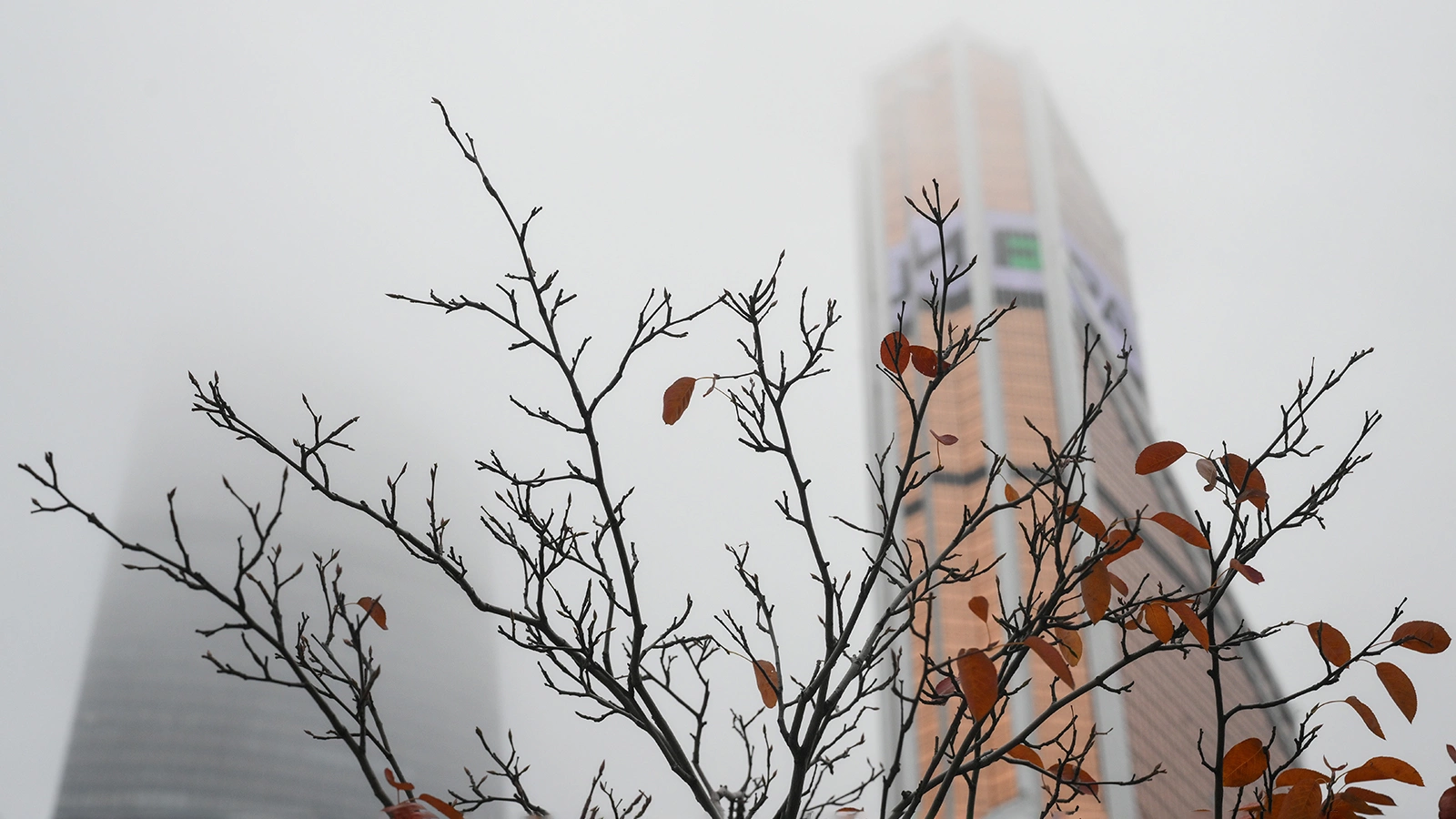 В ночь на 5 ноября Москву накрыл густой туман. Впечатляющие кадры