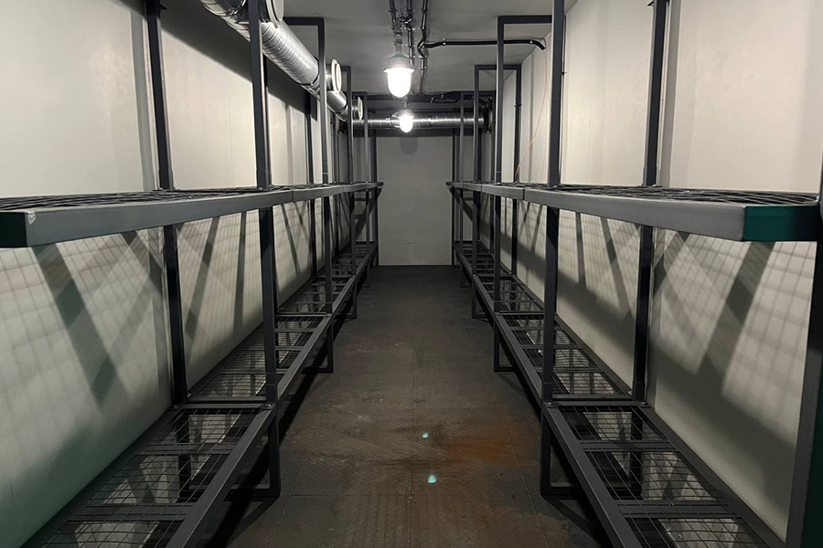 Фото: Мария Лисицына / РБК