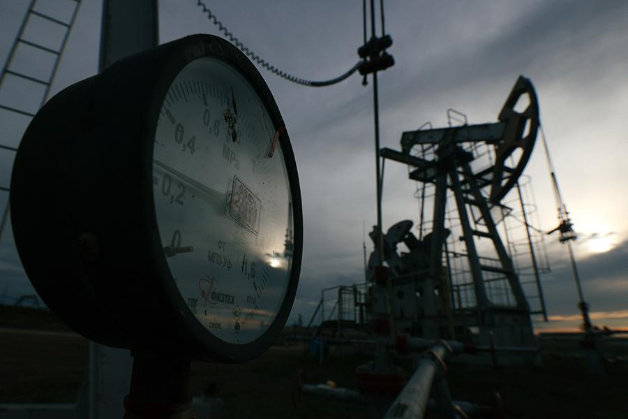 Фото: Егор Алеев / ТАСС