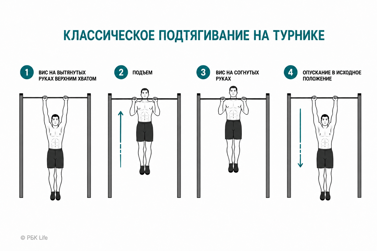 Схема, как правильно подтягиваться