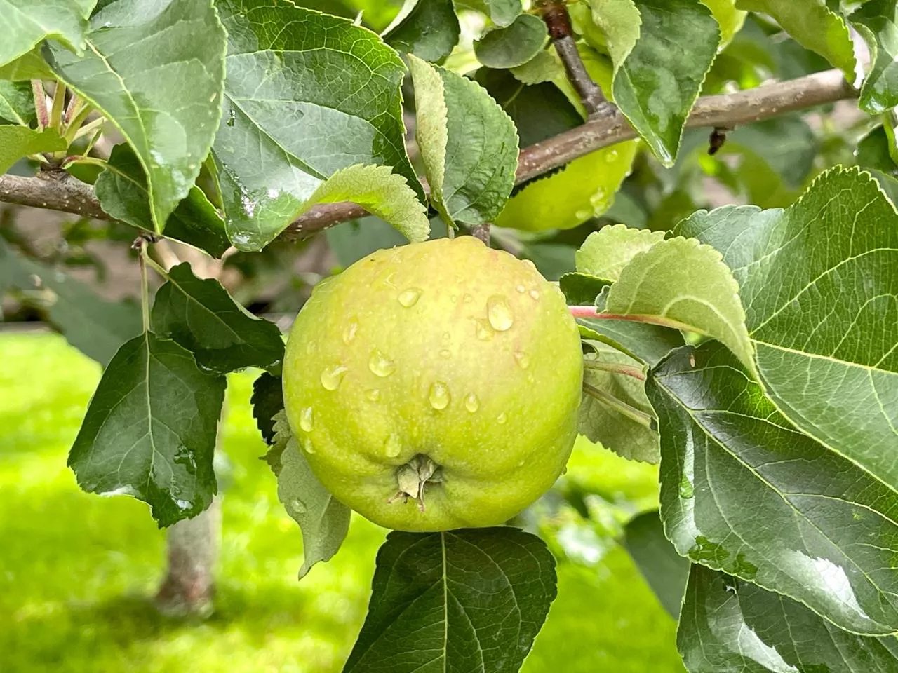 РБК Приморье