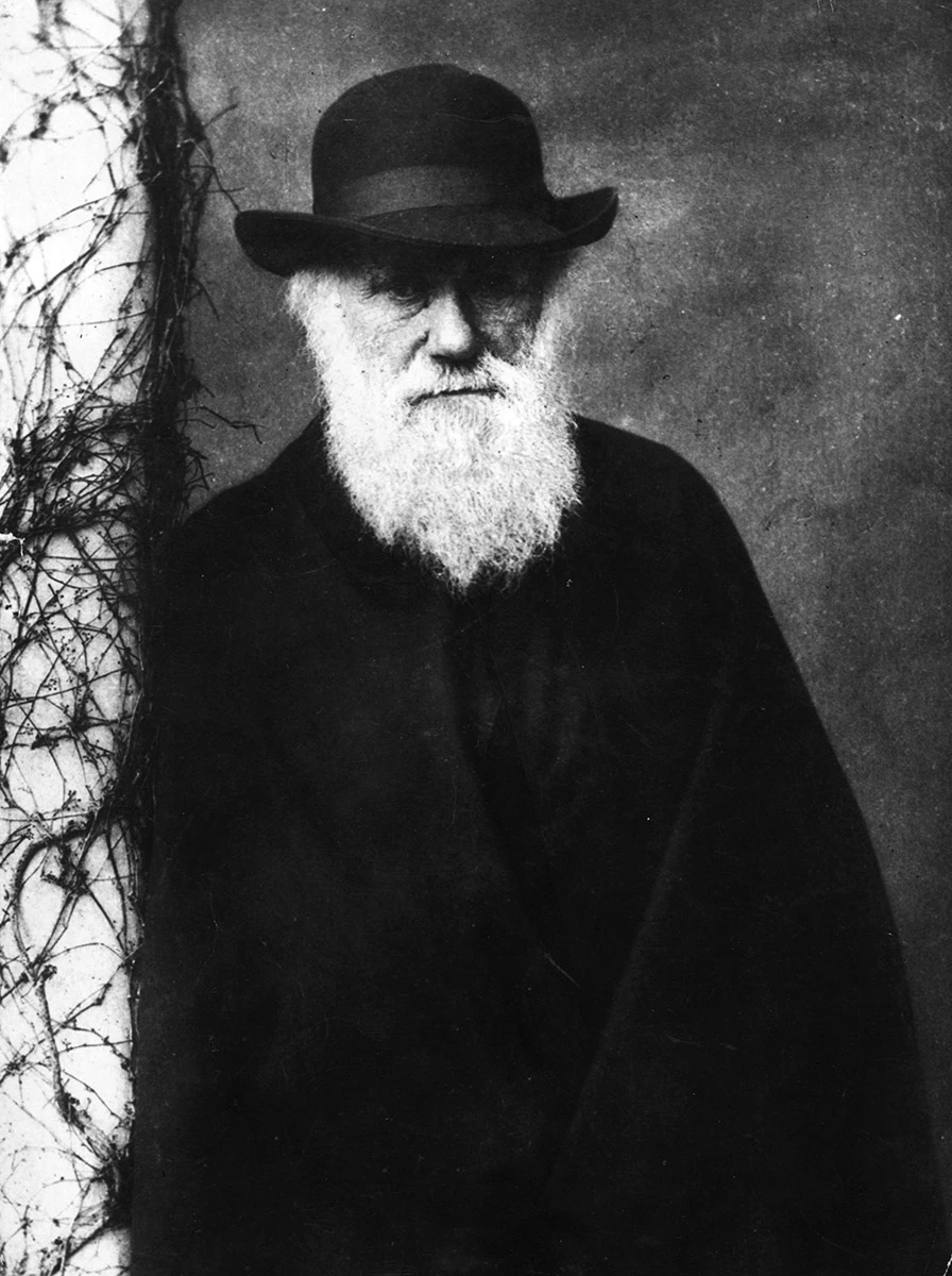 <p>Чарльз Дарвин</p>

<p></p>