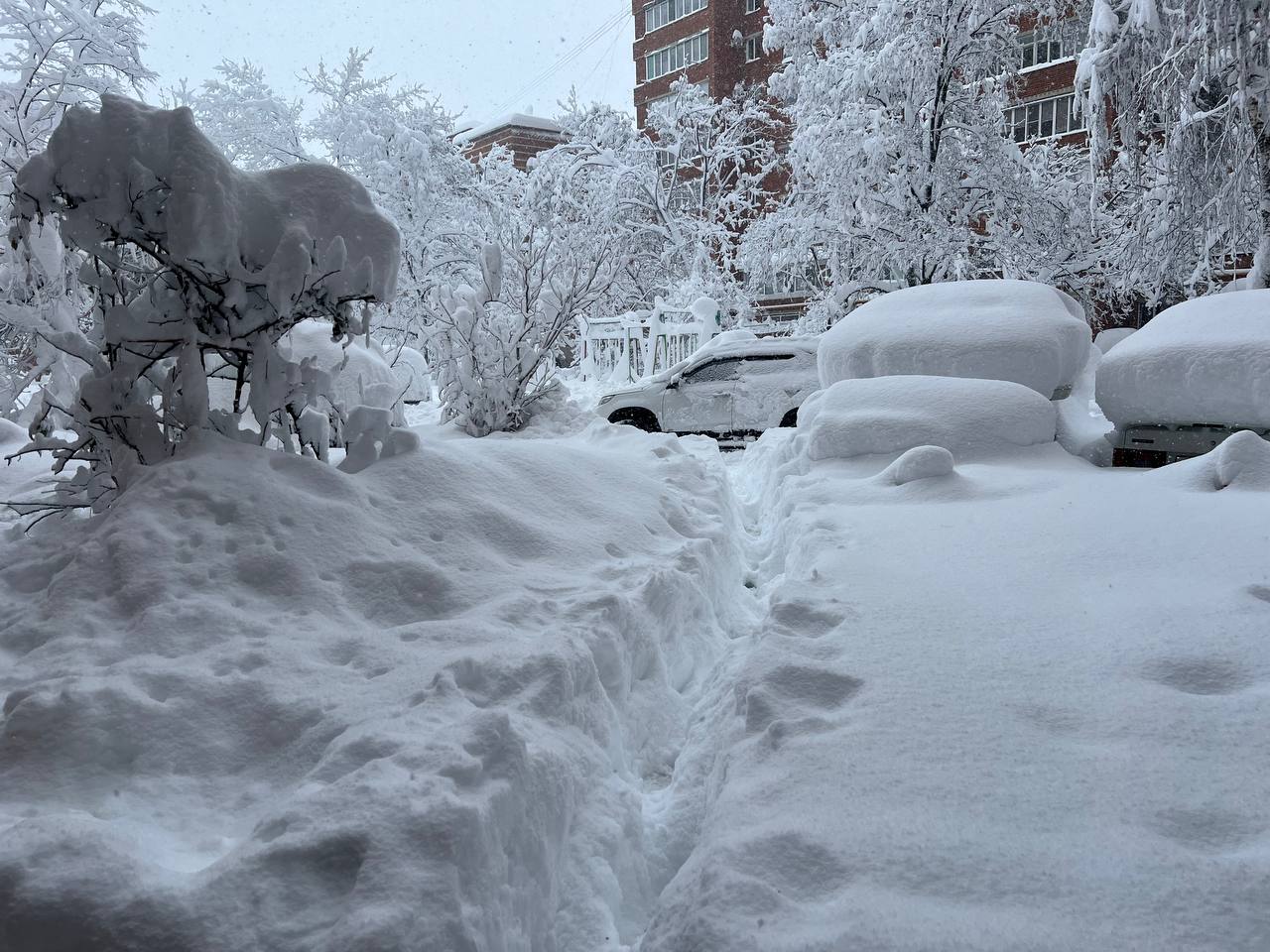 Фото: Наталья Радчук, РБК Краснодар