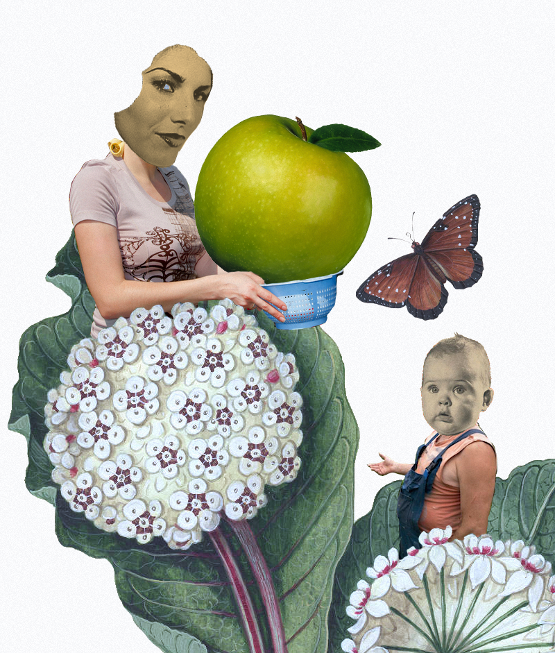 Яблони — враги дачника, или любительское садоводство