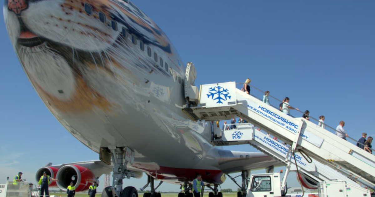 Летают ли самолеты. Аэропорт Толмачево Boeing 747. Боинг 747 в Толмачево. Боинг 747 в Сочи. Аэропорт Толмачево самолет тигр.