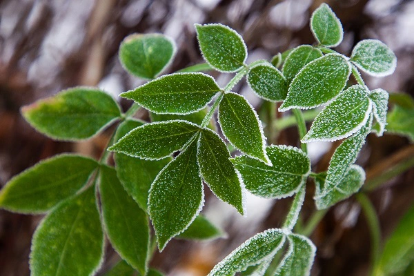 Александр Подгорчук