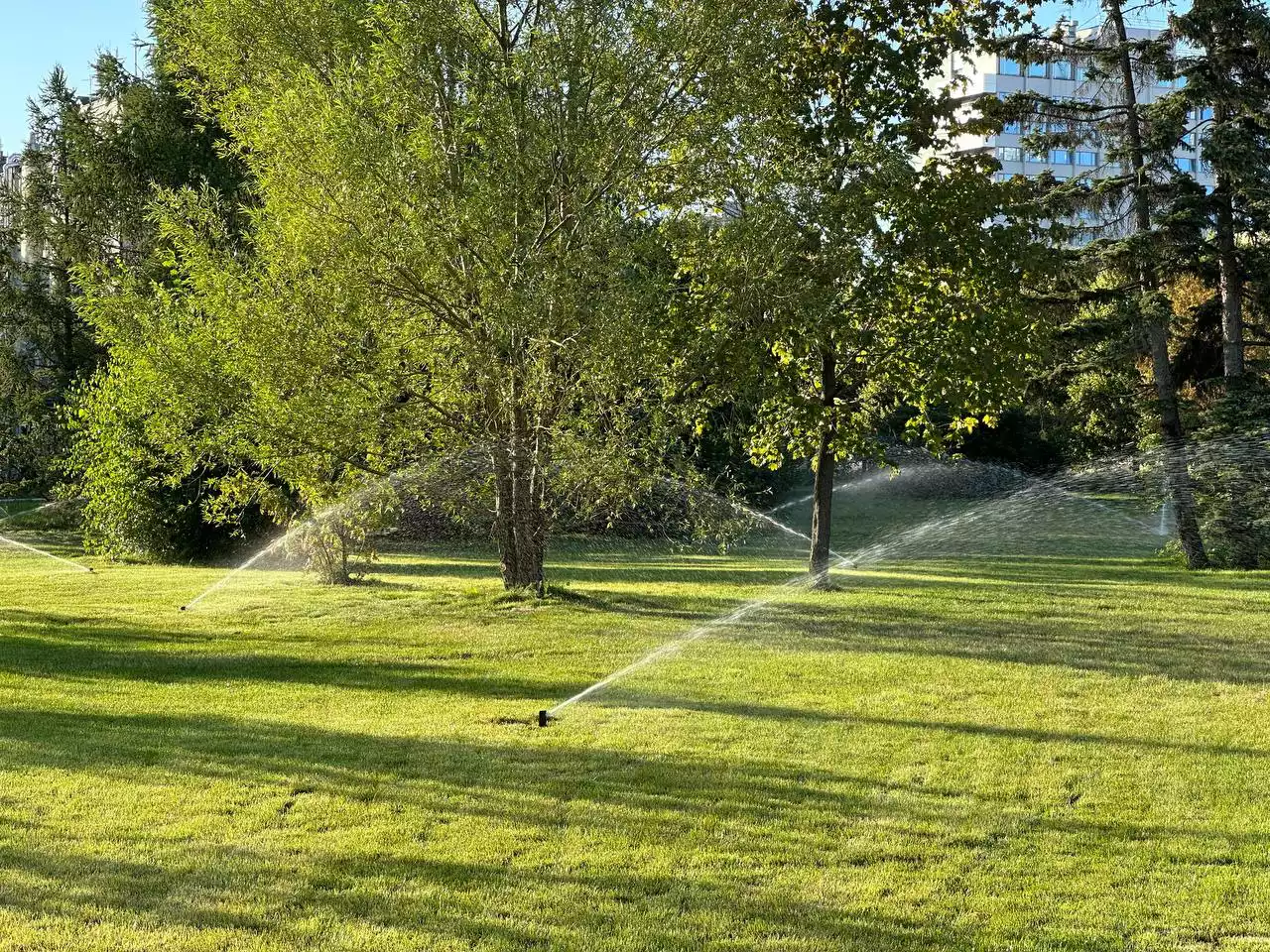 РБК Татарстан