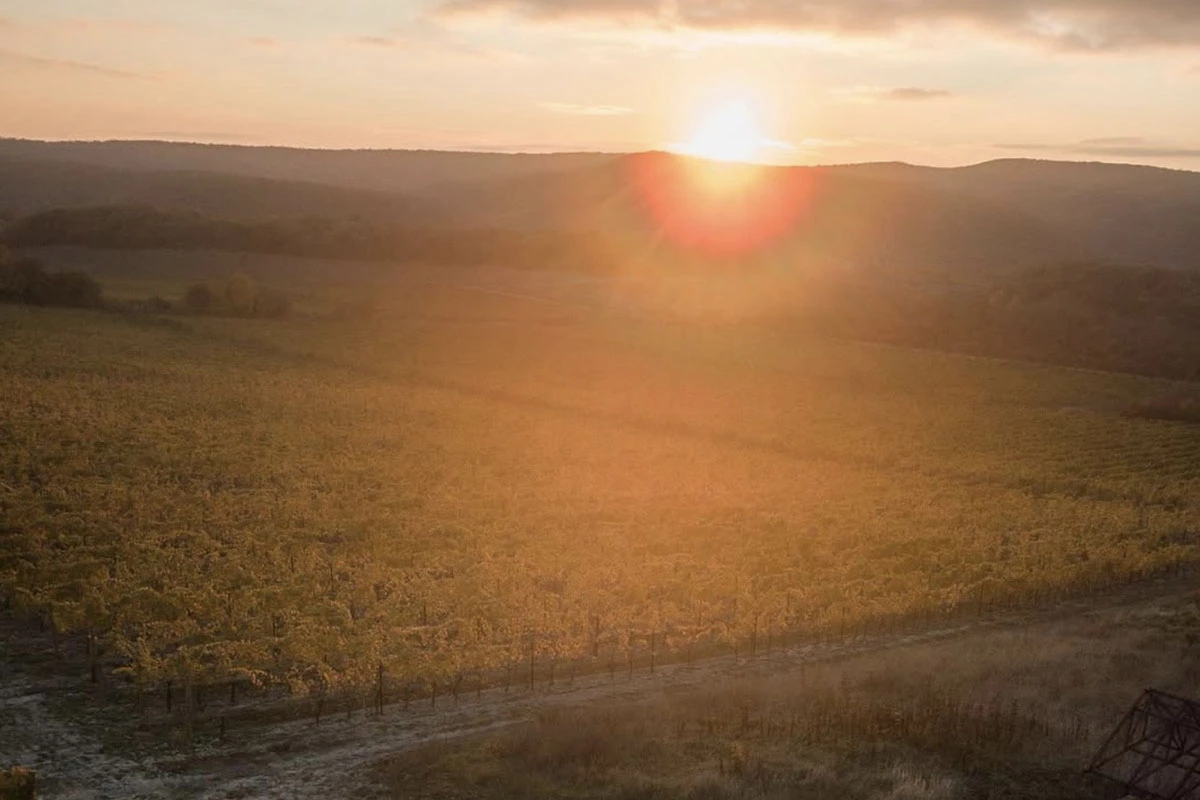 Жемчужина региона — это винодельня «Галицкий и Галицкий», но знакомство с проектом пока ограничено, а хотелось бы тур по виноградникам