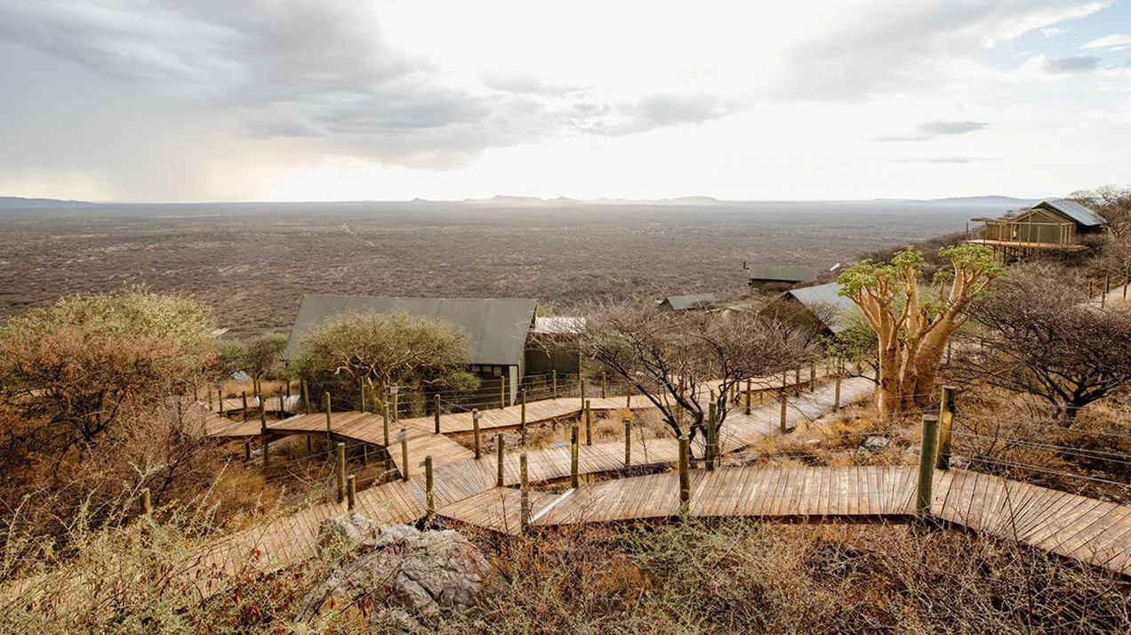 Как работает винодельня в пустыне Намибии и какую роль сыграл леопард