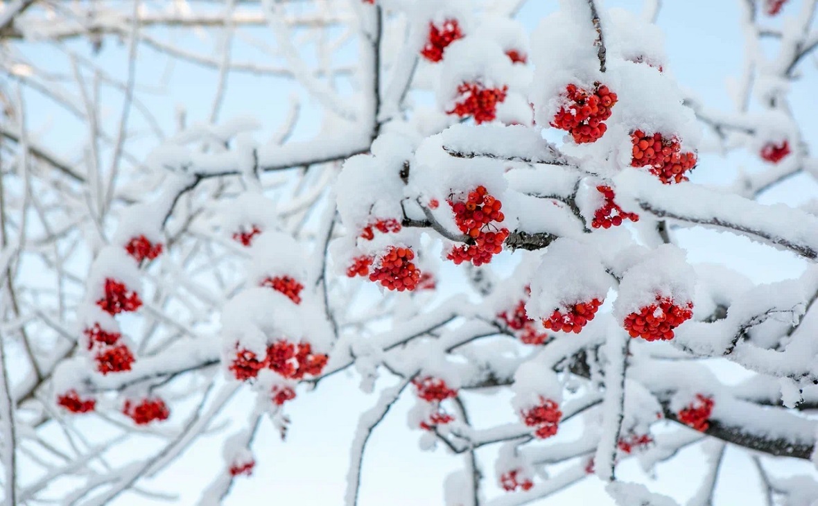 Фото: РБК Уфа