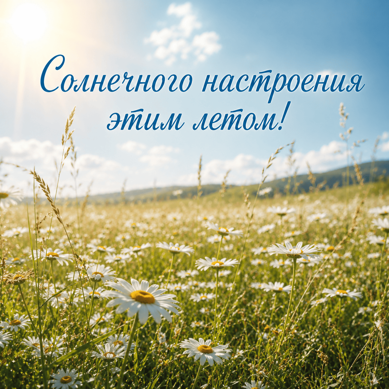 Открытка с ромашковым полем и надписью «Солнечного настроения этим летом!»