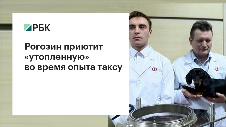 Рогозин извинился за публикацию видео опытов с таксой