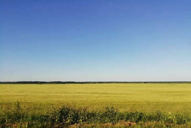 РБК Вологда