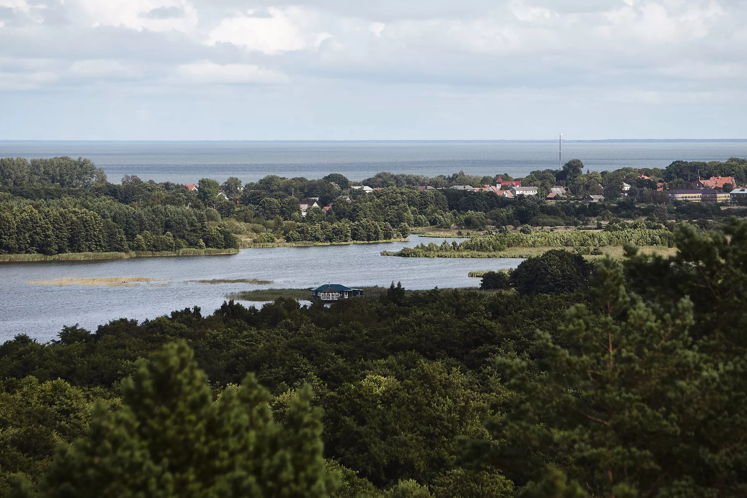 Александр Подгорчук