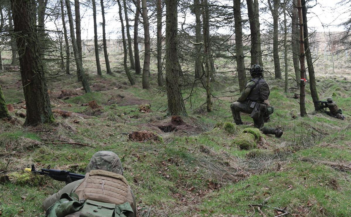 Шведские инструкторы начали учить украинских военных ведению боя в лесах