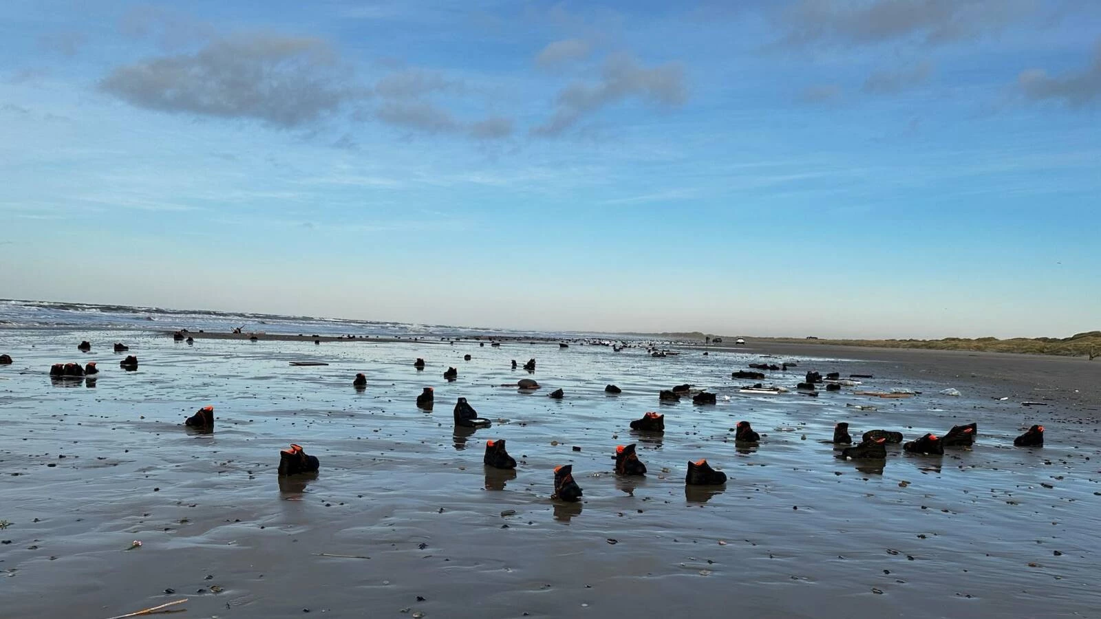 <p>Тысячи ботинок выбросило на пляжи в северной части Дании из-за бушующего в Европе шторма &laquo;Пиа&raquo;</p>