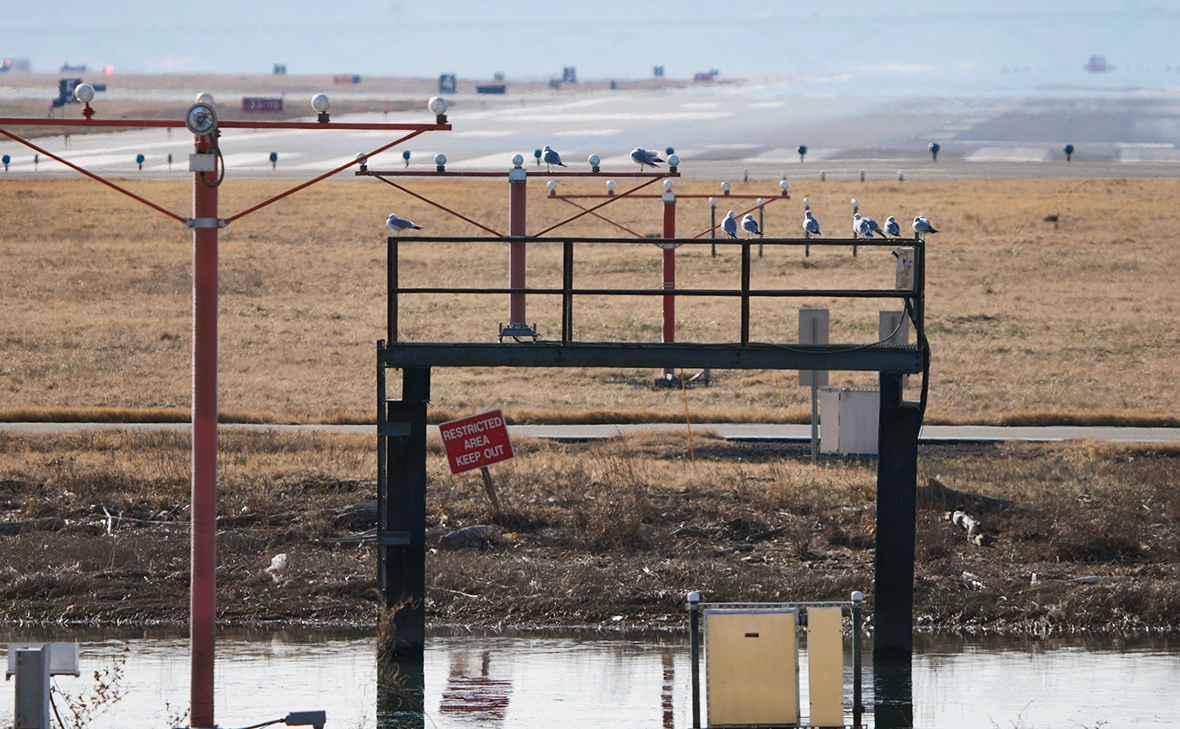 Andrew Harnik / Getty Images