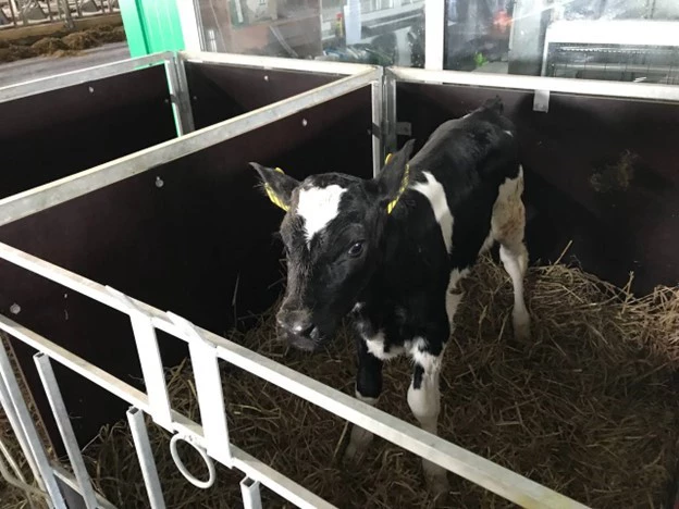 РБК Приморье