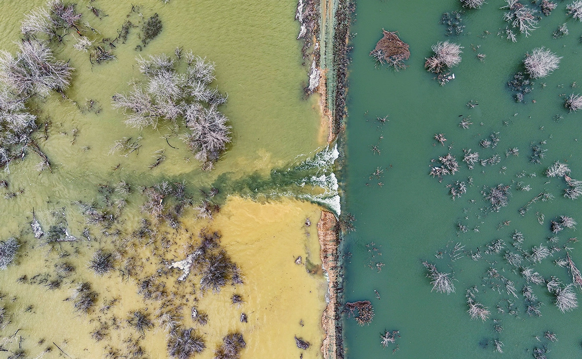 Егор Алеев / ТАСС