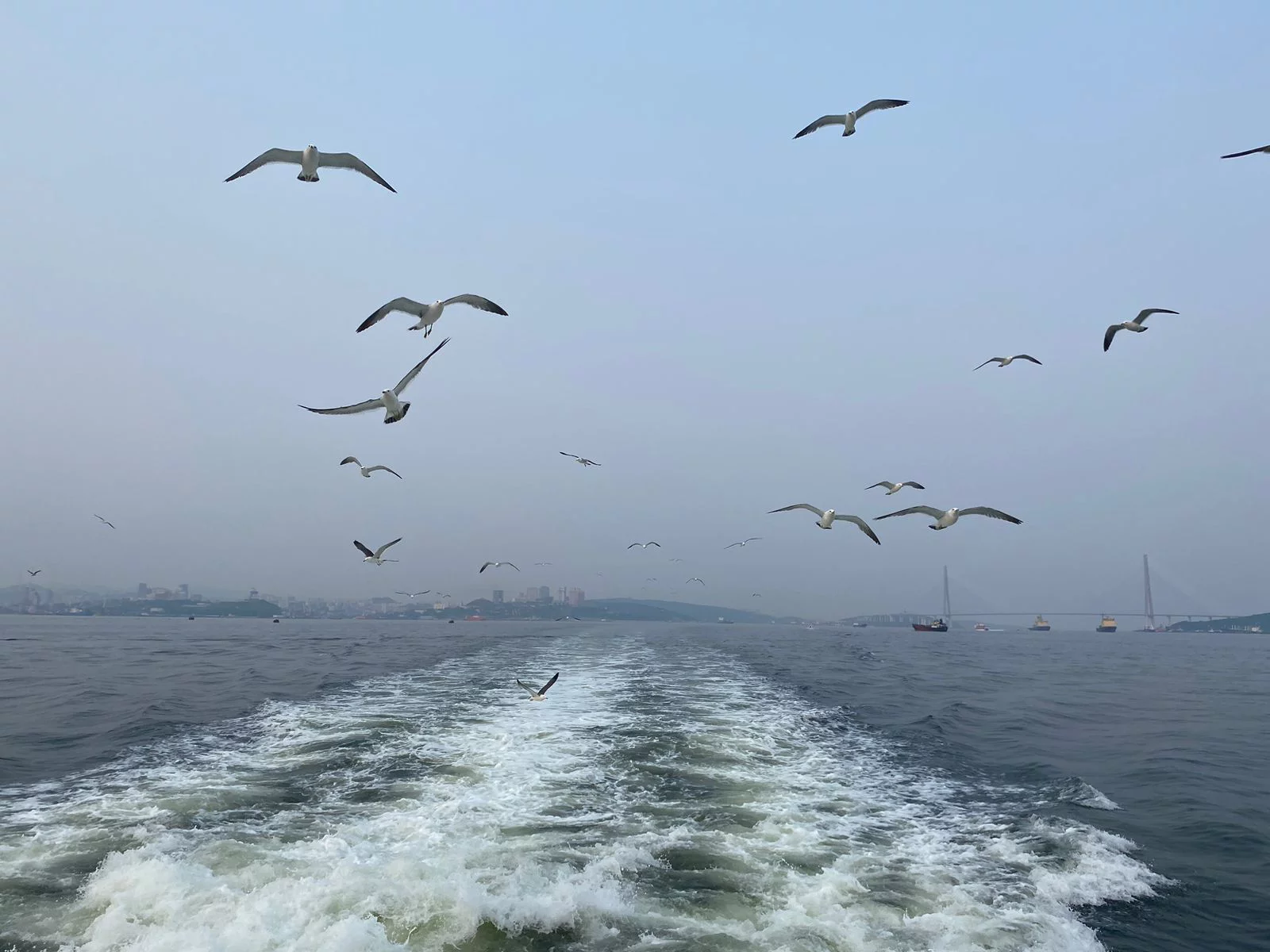 РБК Приморье