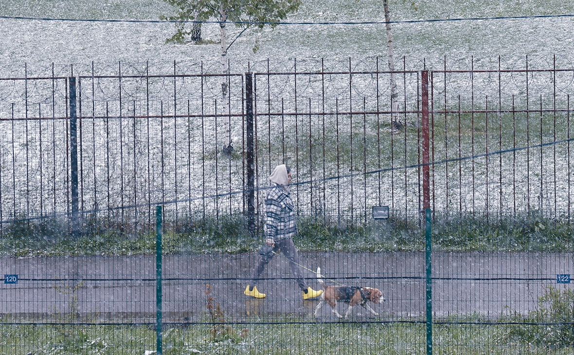 Андрей Любимов / РБК