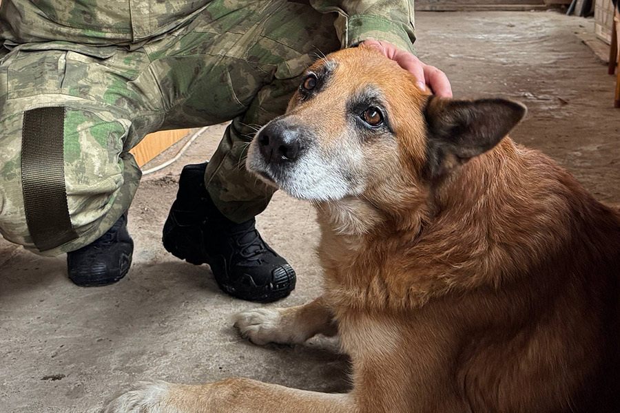 Фото: kazachenko_berezniki / Telegram