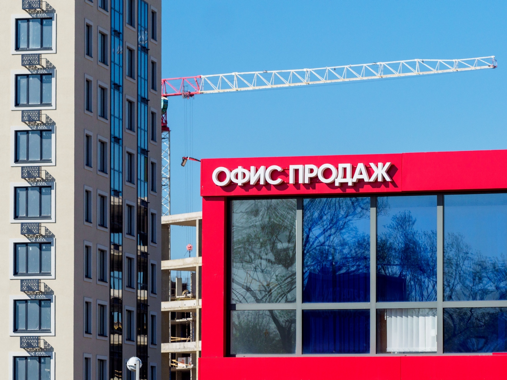 Фото: PhotoXPress.ru