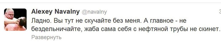 Прощальный твит А.Навального: Не скучайте без меня и не бездельничайте