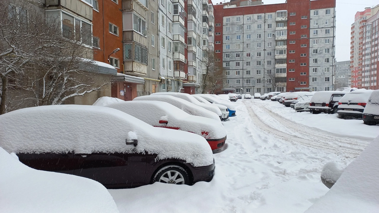 РБК Вологда