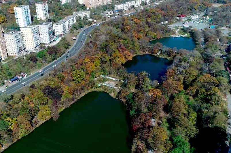 Дирекция общественных пространств Владивостока