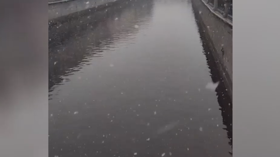 В Петербурге прошел снег