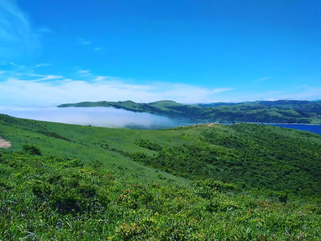 РБК Приморье