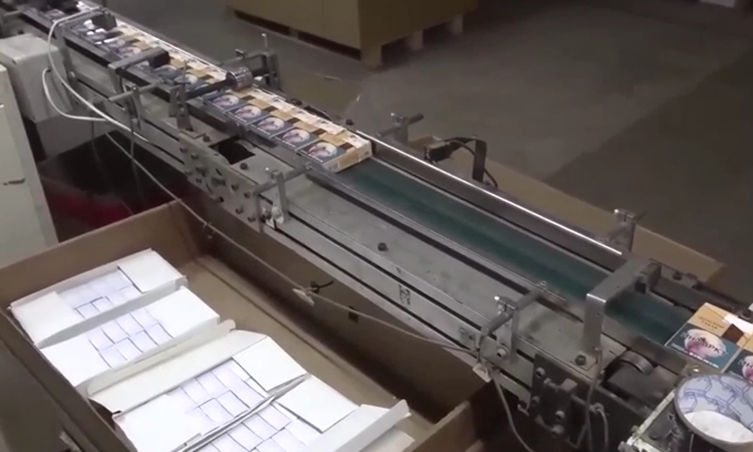 Фото: Главное управление МВД по Санкт-Петербургу и Ленинградской области