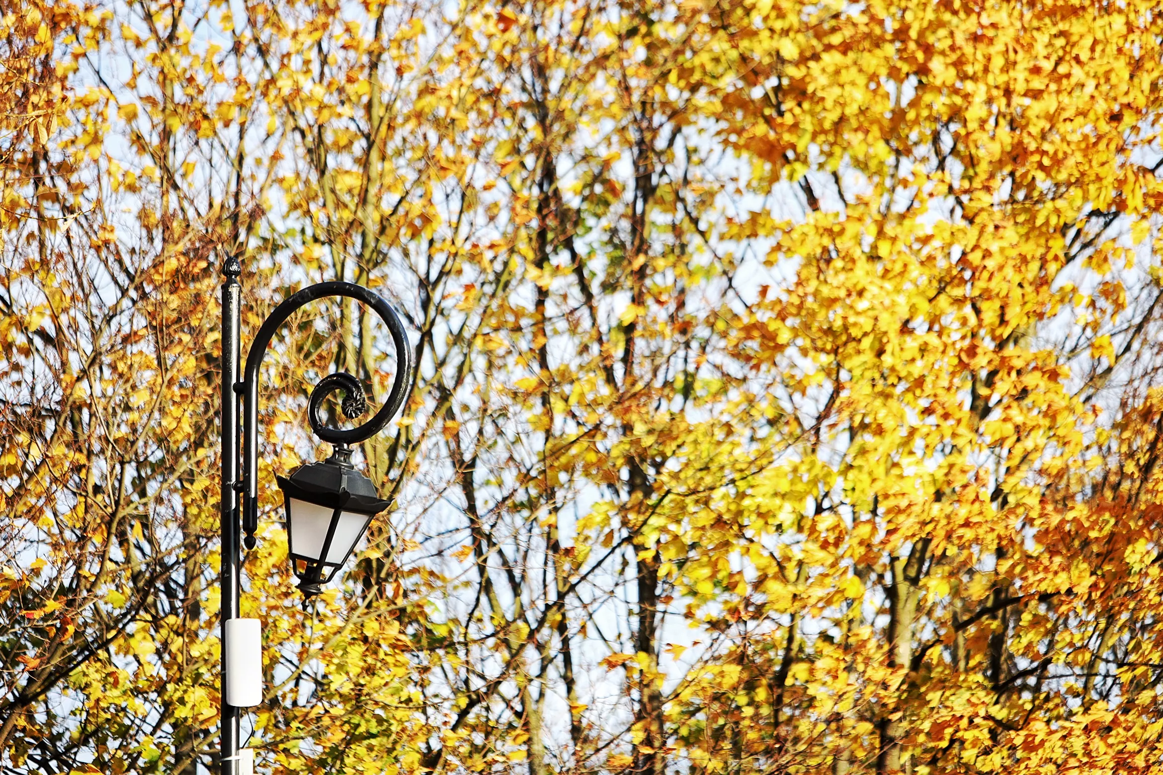 Александр Подгорчук