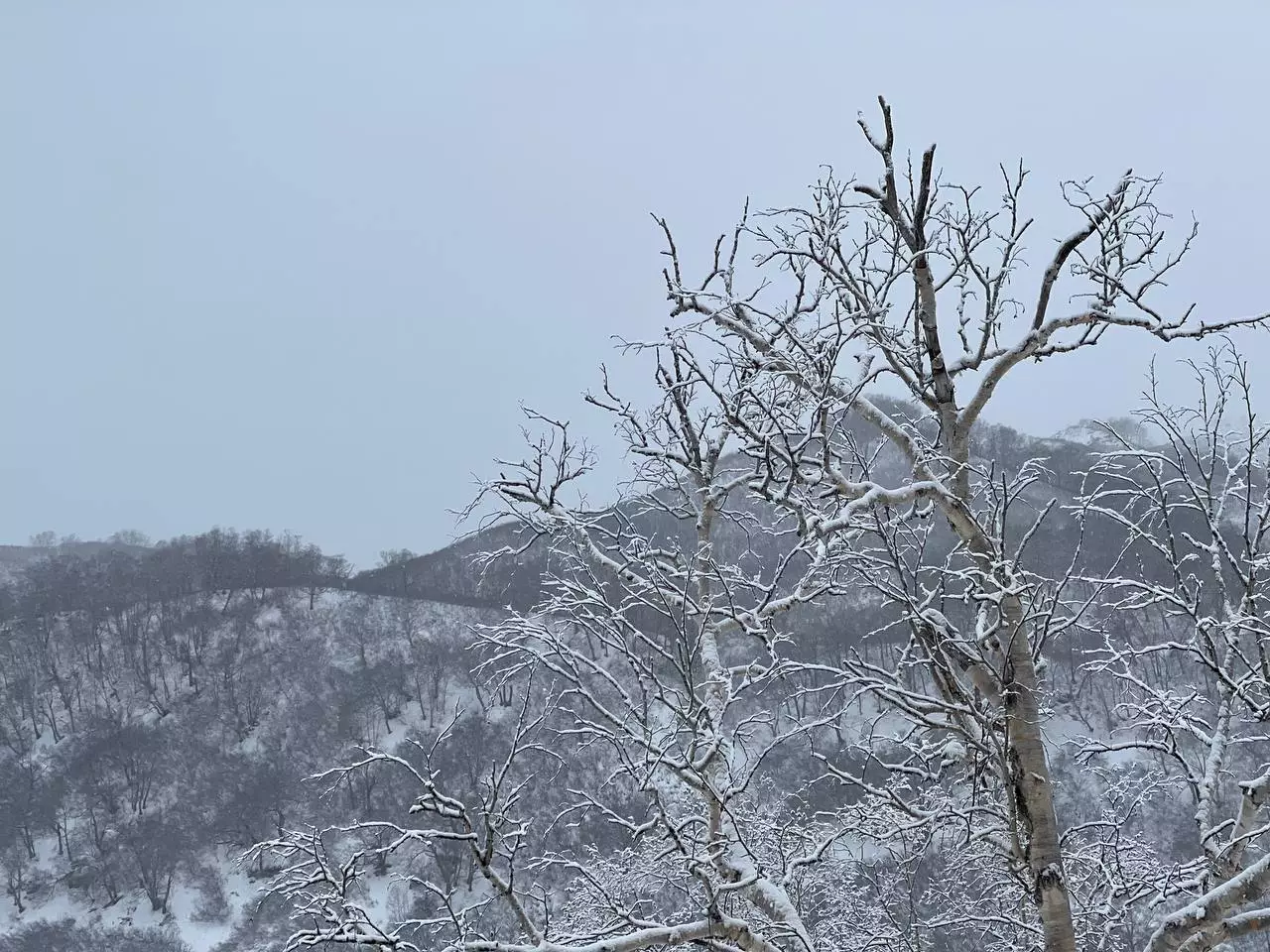 РБК Приморье