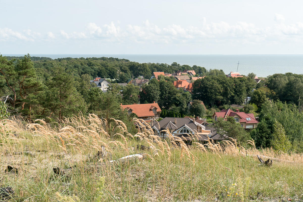 Фото: сайт Куршской косы