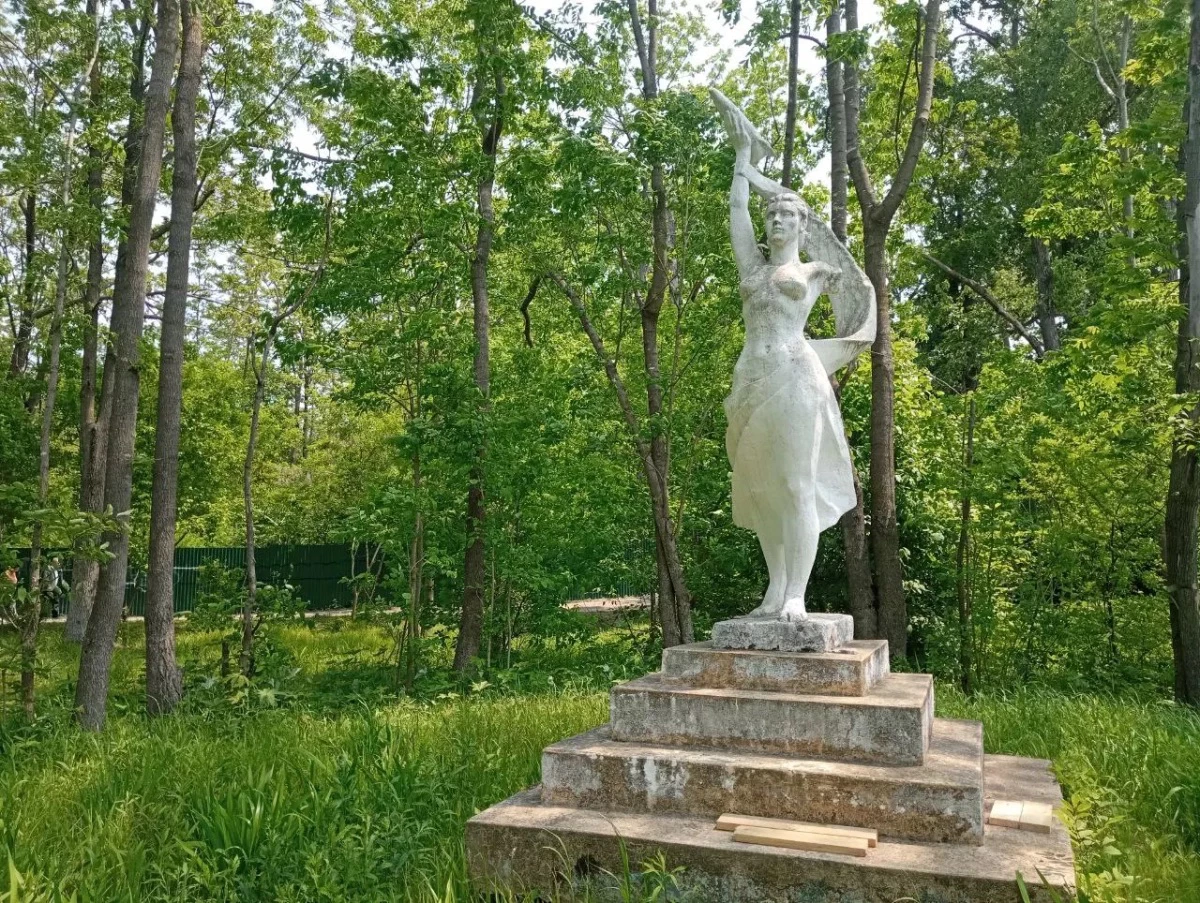 РБК Приморье