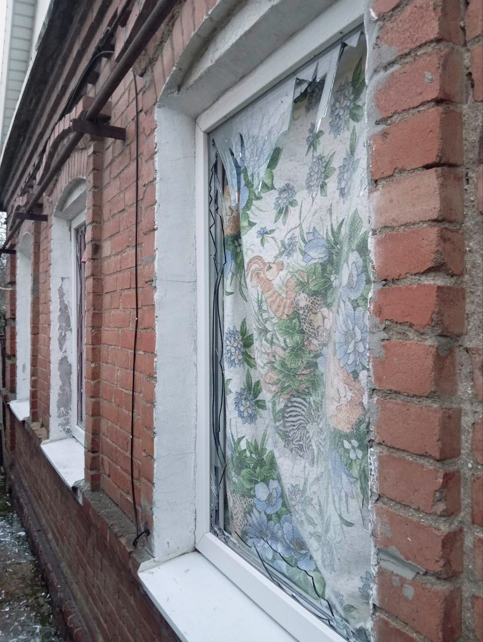 Фото: BalitskyEV / Telegram