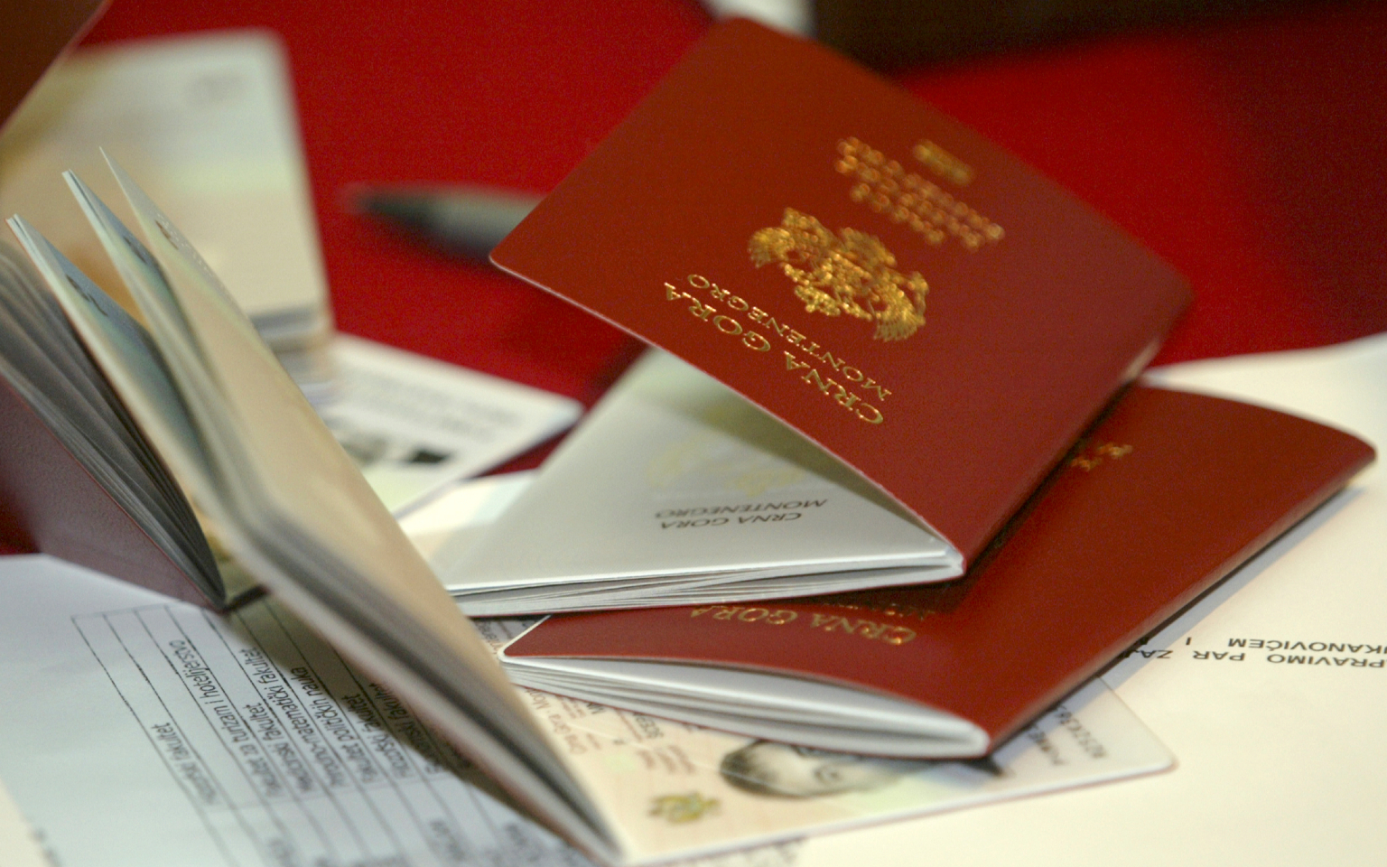 Черногория раскрыла получивших «золотые паспорта» россиян