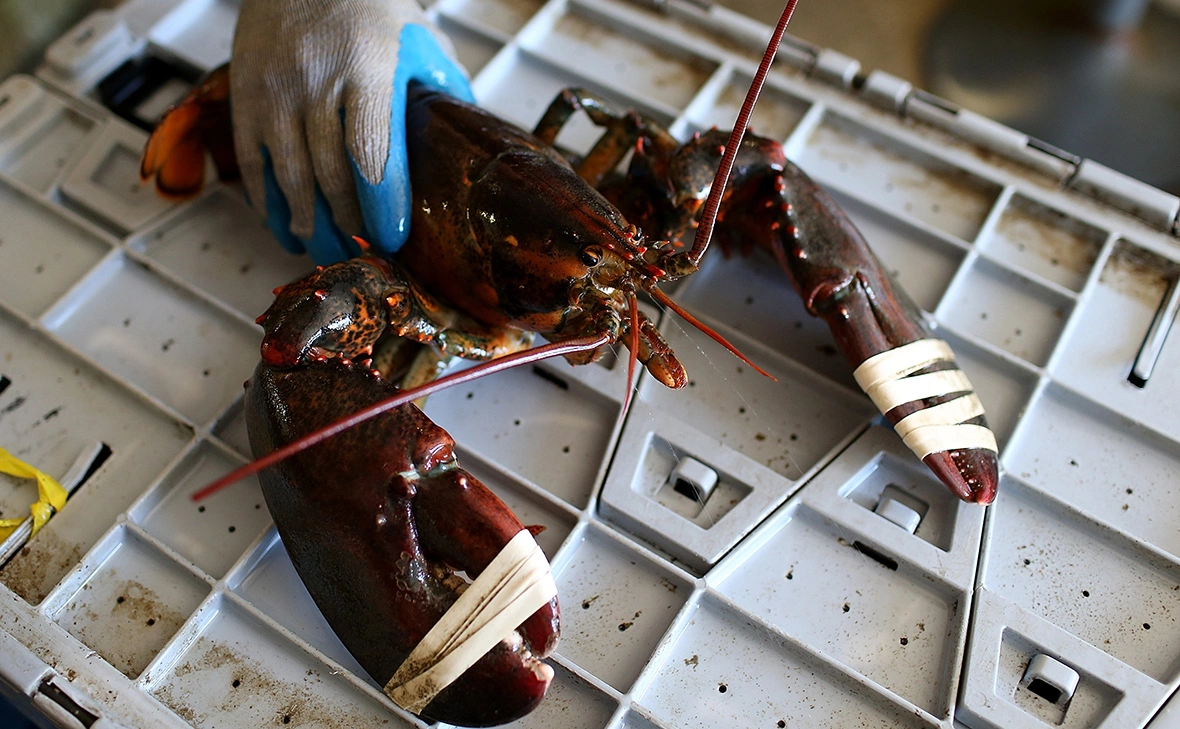 Justin Sullivan / Getty Images