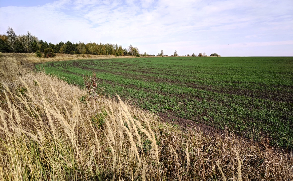 РБК Черноземье