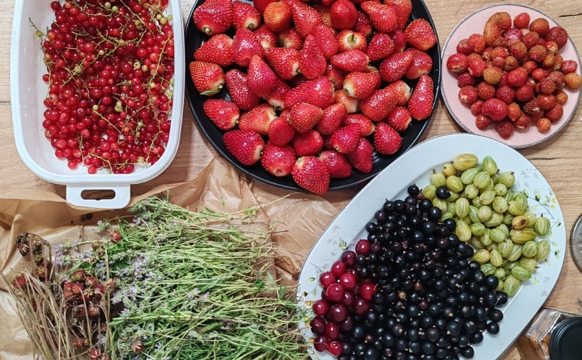 РБК Черноземье