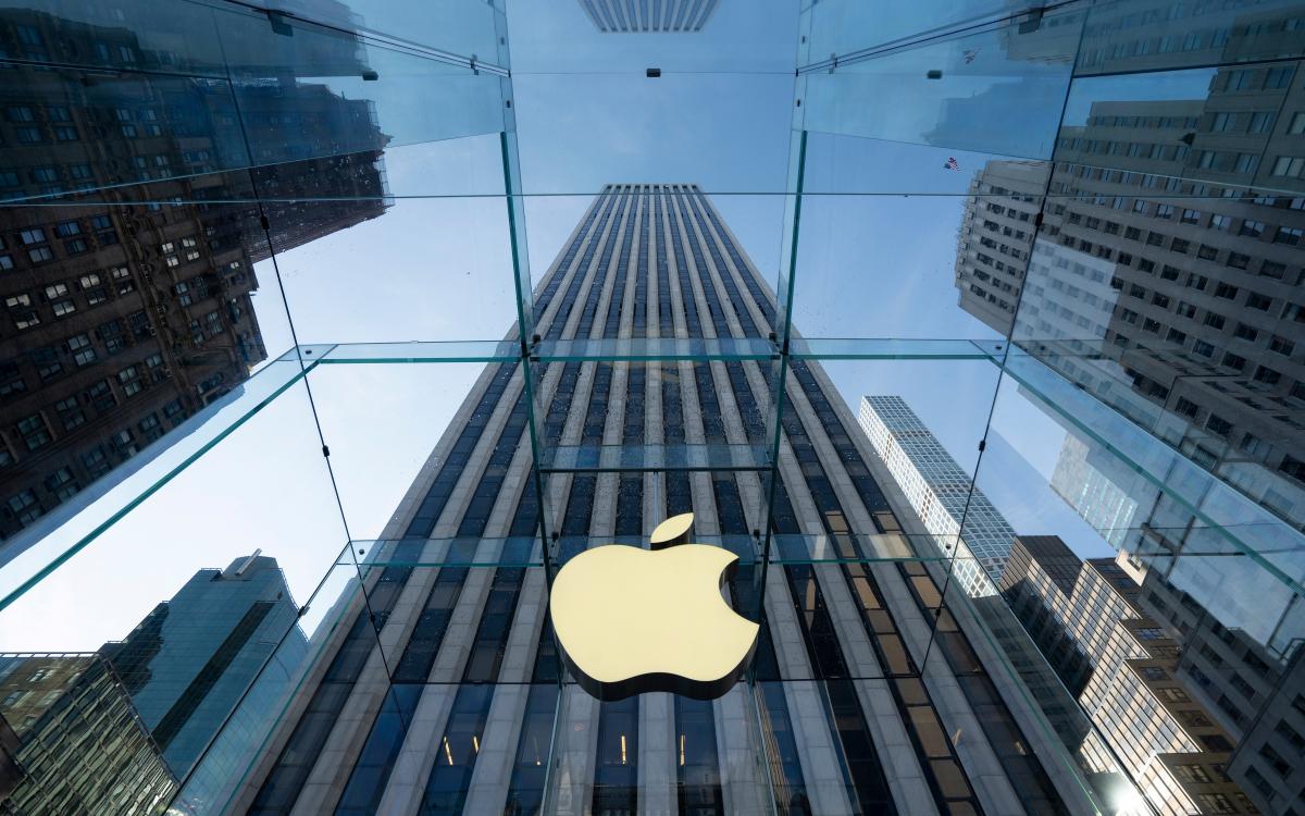 Фото: Tada Images / Shutterstock.com