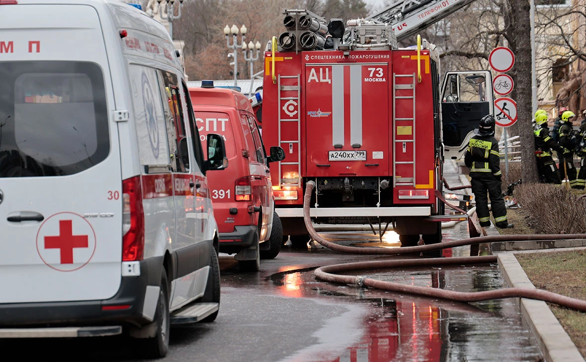Михаил Гребенщиков / РБК