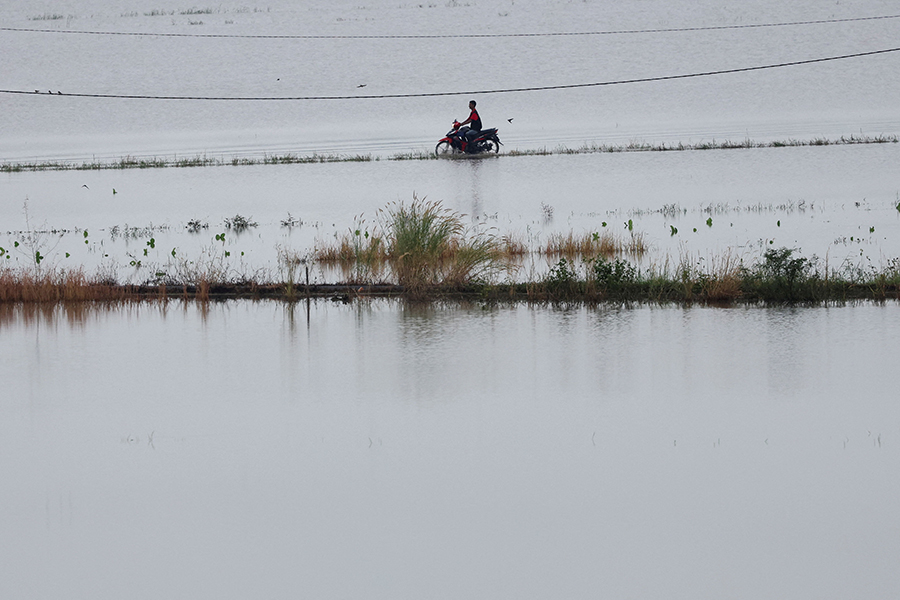 В Малайзии наводнение затронуло граничащий с Таиландом штат Перлис, там сообщили&nbsp;о трех погибших. На фото: мотоциклист проезжает мимо затопленных рисовых полей в городе Кангар,&nbsp;административном центре&nbsp;Перлиса.