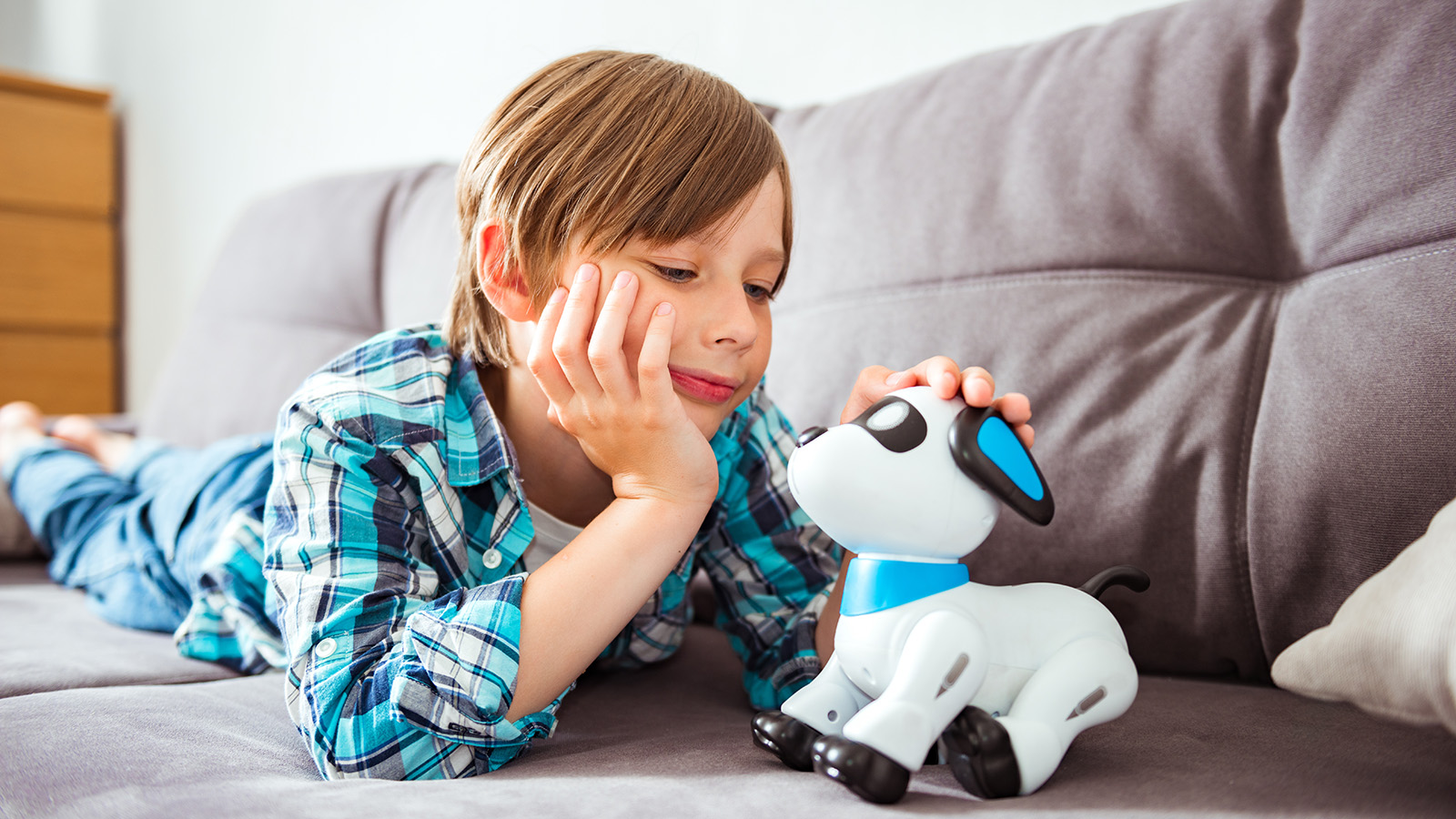 В США сенаторы выразили беспокойство по поводу игрушек с ИИ